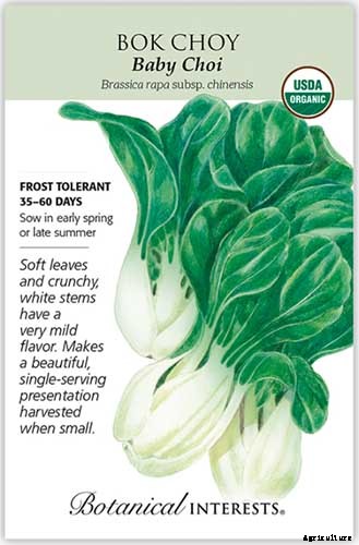 Bok Choy vs. Baby Bok Choy: What’s the Difference?