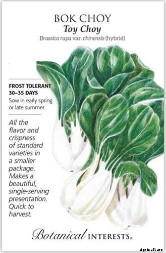 Bok Choy vs. Baby Bok Choy: What’s the Difference?