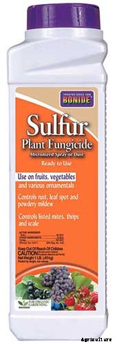 How to Identify and Control Pomegranate Pests and Diseases