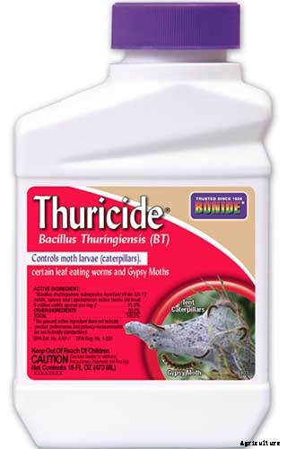 How to Identify and Control Pomegranate Pests and Diseases