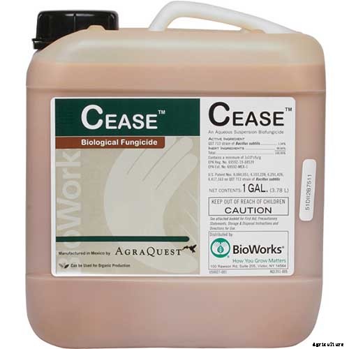 How to Identify and Control Pomegranate Pests and Diseases