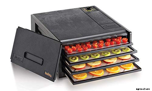 How to Grow and Care for Pomegranate Trees