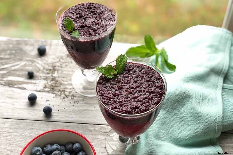 How to Grow and Care for Pomegranate Trees