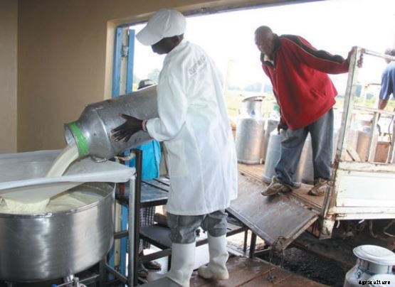 MILK HYGIENE IS IMPORTANT FOR OUR HEALTH