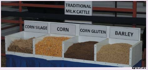 A BALANCED DIET FOR OPTIMUM MILK PRODUCTION