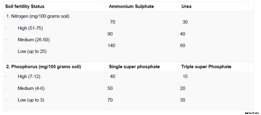 TILAPIA FISH FARMING INFORMATION GUIDE FOR BEGINNERS