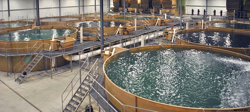 INDOOR AQUACULTURE AND FISH FARMING METHODS