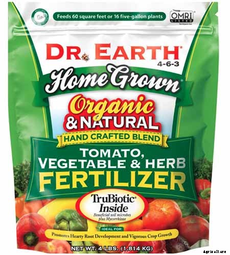 Tips for Growing Parsnips in Containers