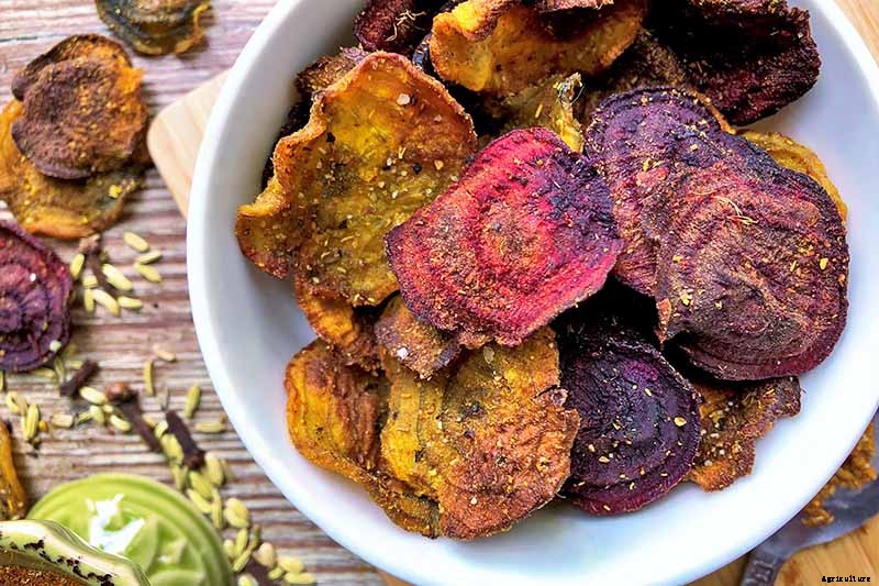 Tips for Growing Parsnips in Containers