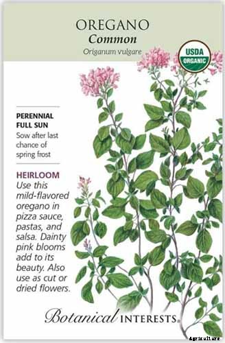 9 of the Best Companion Plants for Parsnips