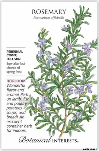 9 of the Best Companion Plants for Parsnips