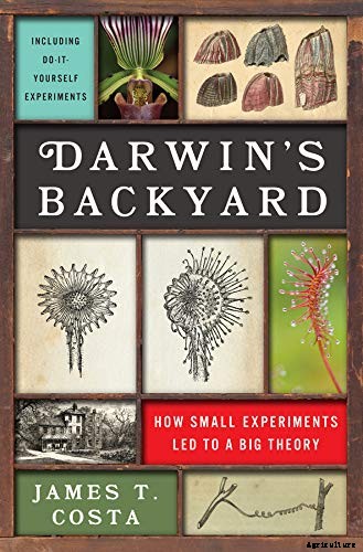 The Scientifically-Backed Benefits of Companion Planting