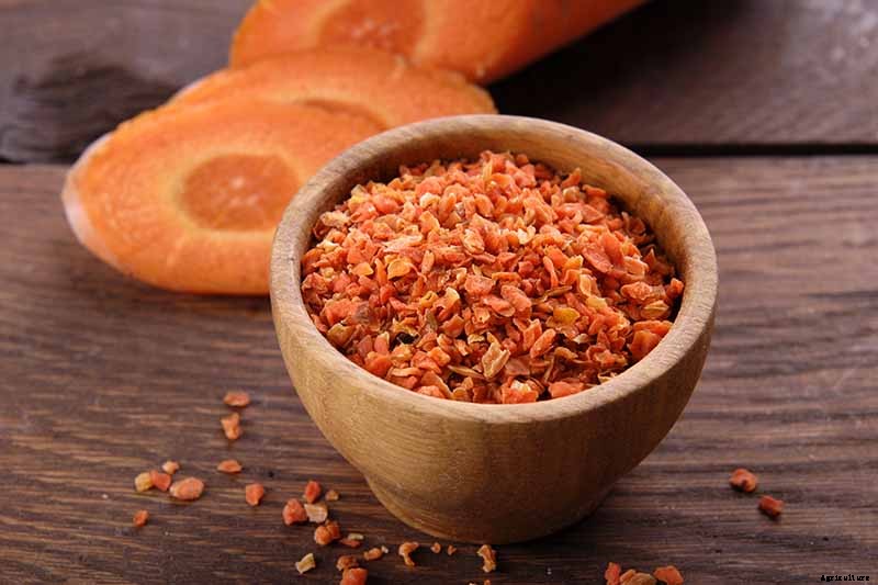 No Peeling Required: How to Grow Nantes Carrots