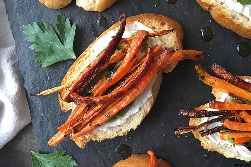 No Peeling Required: How to Grow Nantes Carrots