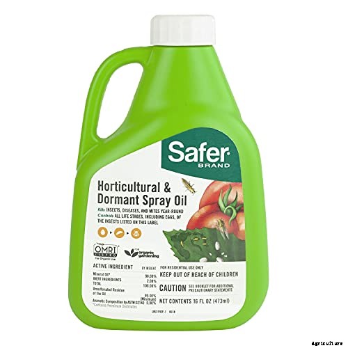 How to Grow Joe-Pye Weed in Your Landscape or Garden