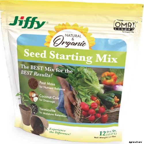 How to Sow Seeds in Winter for Sweet Spring Blooms