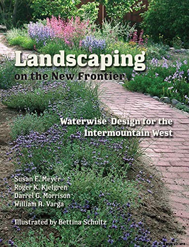 Birds, Bees, and Beauty: Tips for Growing a Native Wildflower Landscape at Home