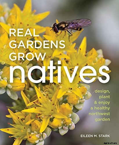 Birds, Bees, and Beauty: Tips for Growing a Native Wildflower Landscape at Home