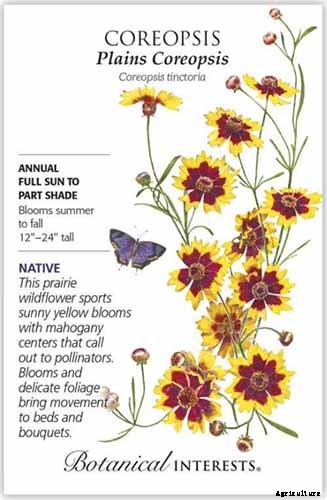 Birds, Bees, and Beauty: Tips for Growing a Native Wildflower Landscape at Home
