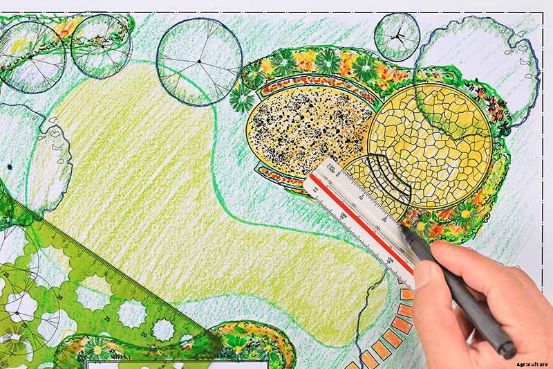 Birds, Bees, and Beauty: Tips for Growing a Native Wildflower Landscape at Home