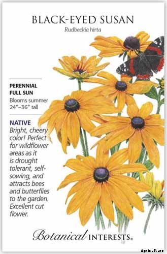 15 of the Best Native Wildflowers for the US and Canada