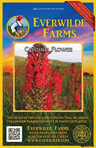 15 of the Best Native Wildflowers for the US and Canada