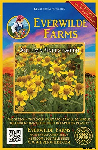 15 of the Best Native Wildflowers for the US and Canada