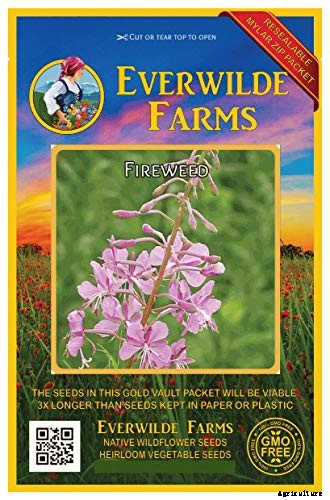 15 of the Best Native Wildflowers for the US and Canada