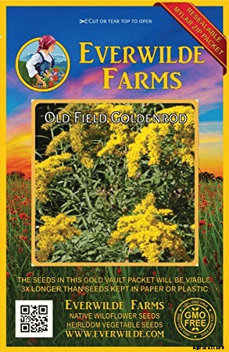 15 of the Best Native Wildflowers for the US and Canada