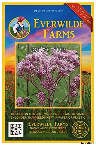 15 of the Best Native Wildflowers for the US and Canada