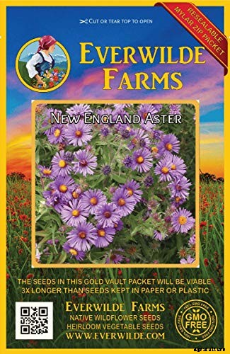 15 of the Best Native Wildflowers for the US and Canada