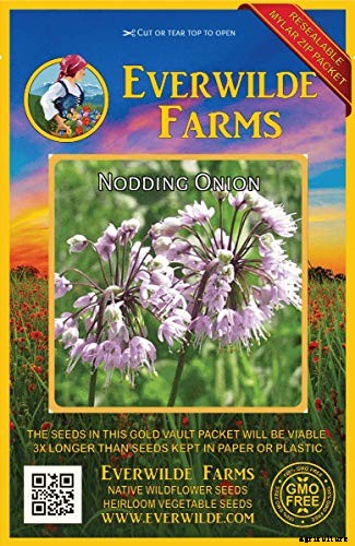 15 of the Best Native Wildflowers for the US and Canada