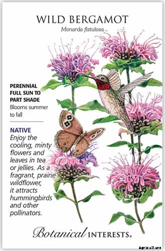 15 of the Best Native Wildflowers for the US and Canada