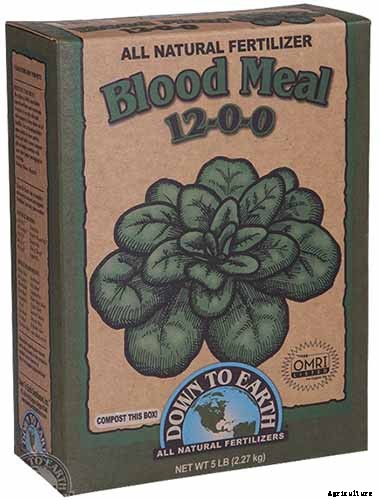 How to Prevent Bok Choy from Bolting