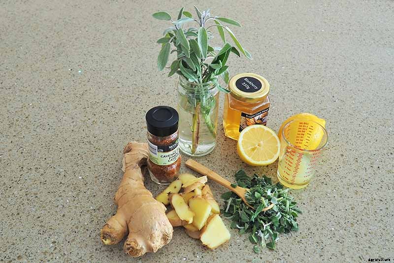 Make Soothing Herbal Tea for Coughs, Colds, and the Flu