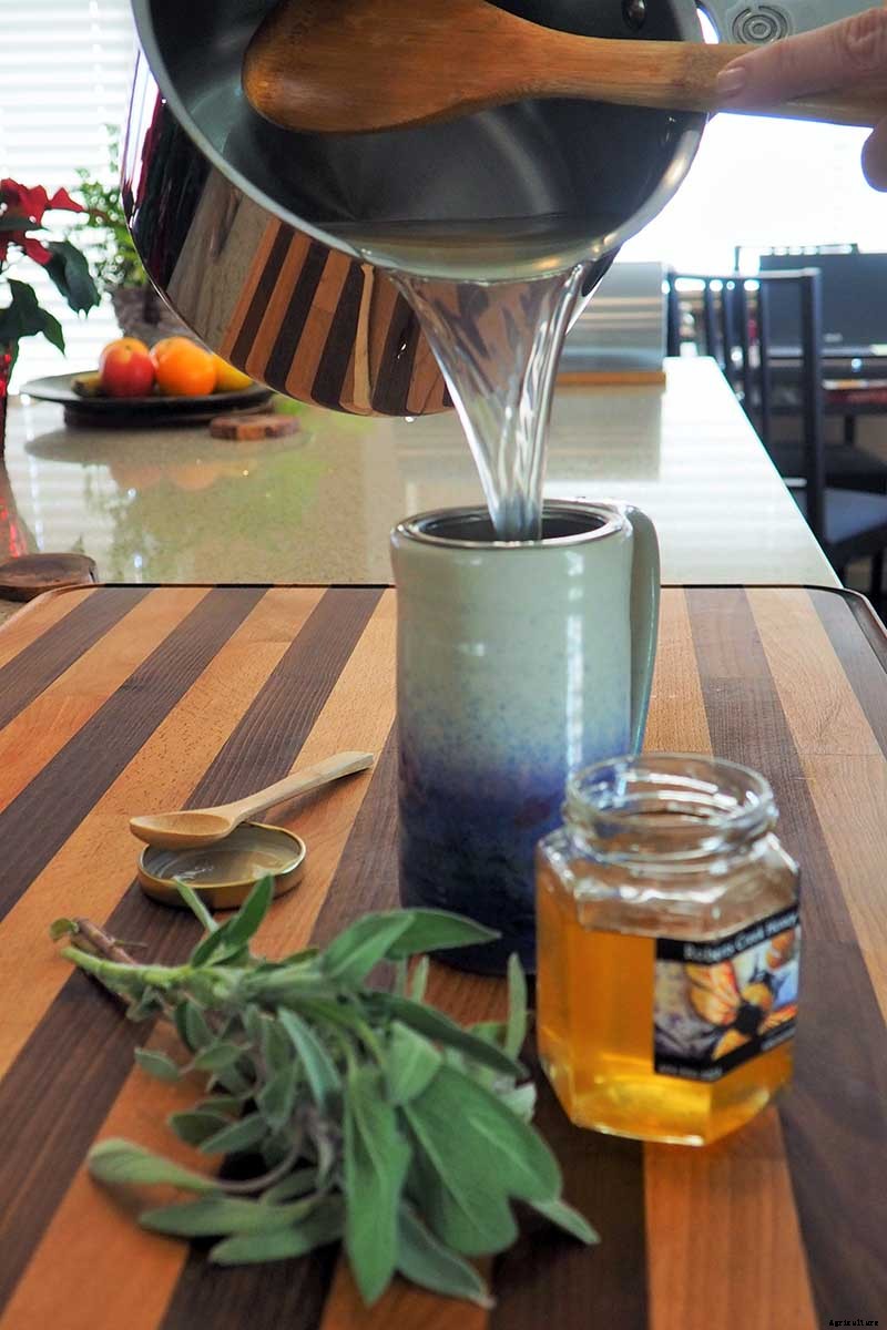 Make Soothing Herbal Tea for Coughs, Colds, and the Flu