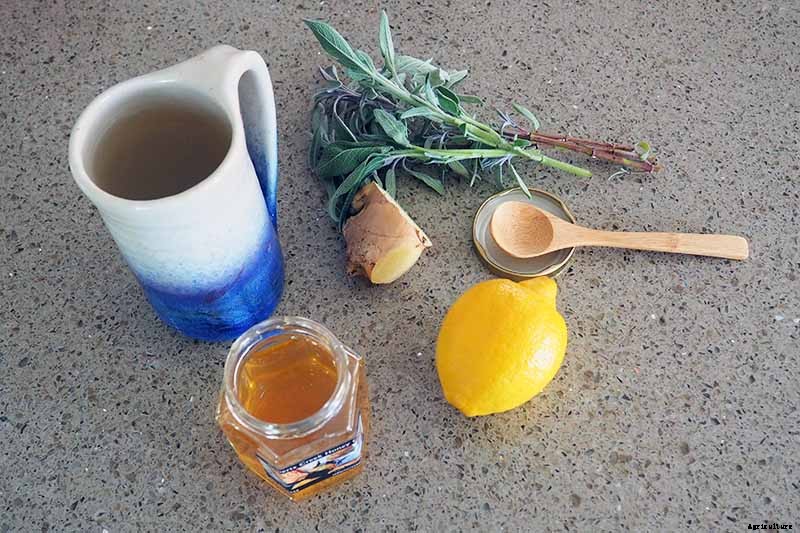 Make Soothing Herbal Tea for Coughs, Colds, and the Flu
