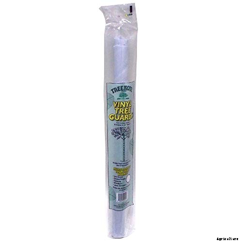 How to Protect Apple Trees in the Winter