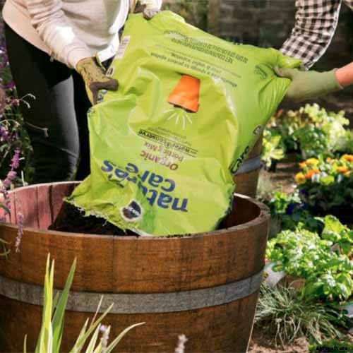 Tips for Growing Spinach in Containers