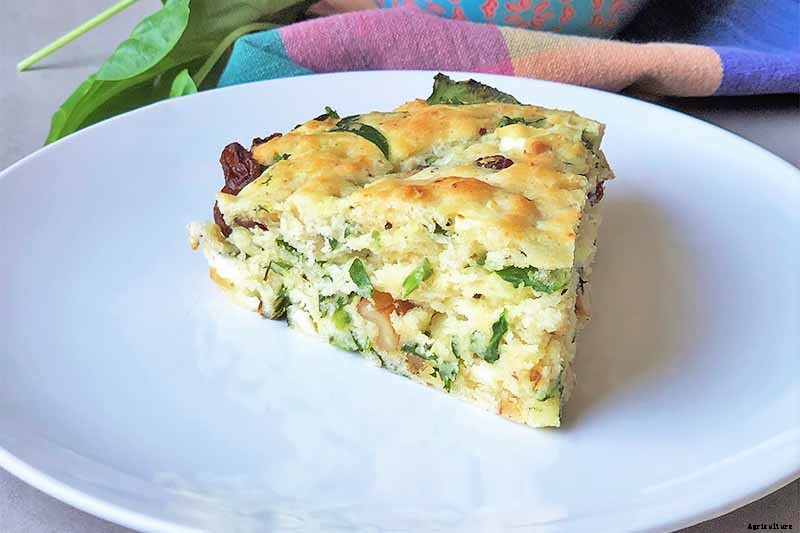 Tips for Growing Spinach in Containers