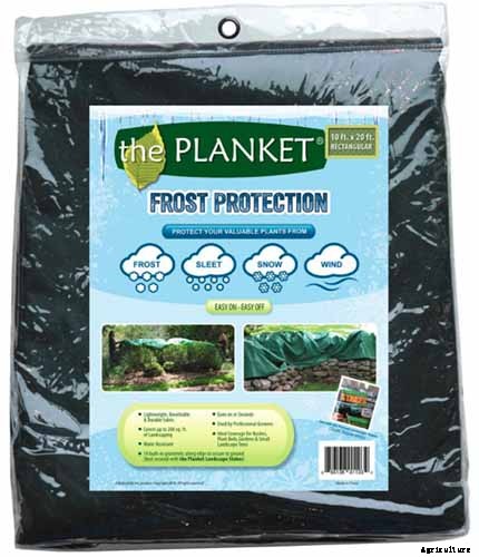 How to Prepare Jasmine Plants for Cold Weather