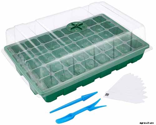 How to Plant Kohlrabi Seeds