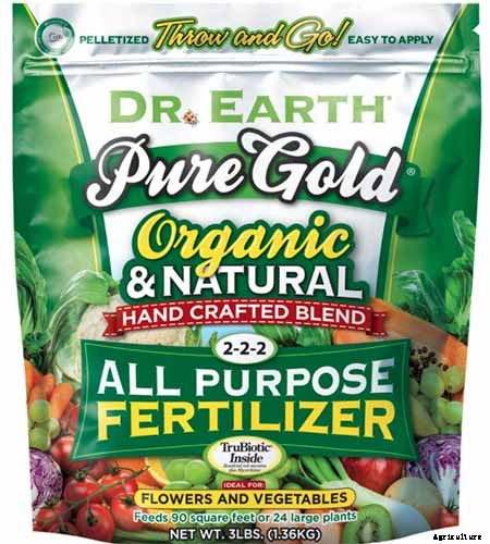 How to Plant Kohlrabi Seeds