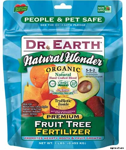 How to Grow and Care for Apricot Trees