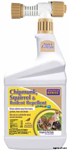 How to Grow and Care for Apricot Trees