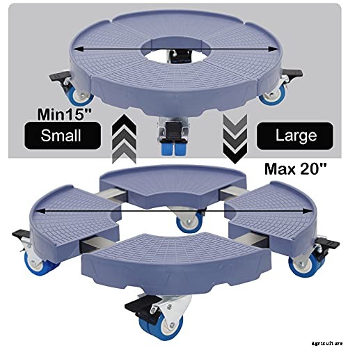 A Pot of Gold: How to Grow Sunflowers In Containers