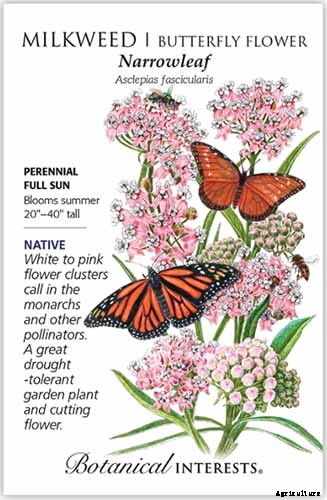 Give Them the Royal Treatment: 15 of the Best Types of Milkweed for Monarch Butterflies