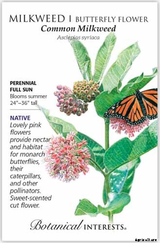Give Them the Royal Treatment: 15 of the Best Types of Milkweed for Monarch Butterflies