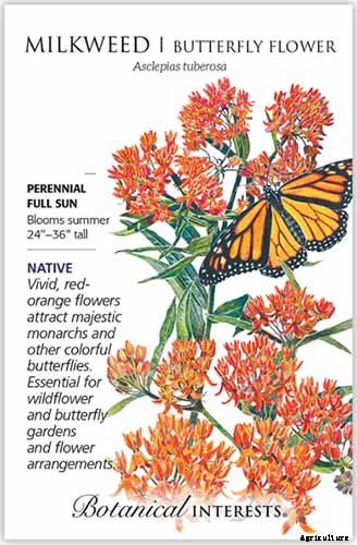 Give Them the Royal Treatment: 15 of the Best Types of Milkweed for Monarch Butterflies