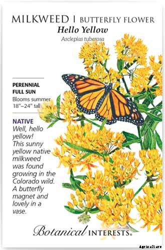 Give Them the Royal Treatment: 15 of the Best Types of Milkweed for Monarch Butterflies